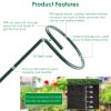 10 Pack 10 Inch Plant Support Stakes with Support Rings