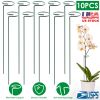 10 Inch Plant Support Stakes with Support Rings 10 Pack