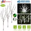 3 Pack 60 LED Solar Garden Lights with tree branch leaf design, IP65 waterproof decorative lights for outdoor garden, lawn, patio, and decking.