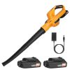 Cordless Handheld Leaf Blower with 2 Batteries 124 MPH 300 CFM