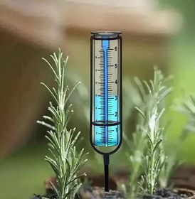 7 Inch Graduated Glass Rain Gauge Replacement Tube
