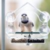Nature Anywhere Clear Window Bird Feeder with Strong Suction Cups