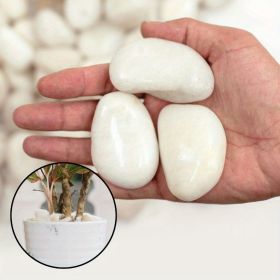 38 lbs White River Rocks, 2-3 inch Polished Pebbles - Versatile for indoor/outdoor use.