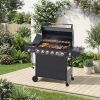 6 Burner Propane Gas BBQ Grill with Side Burner