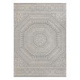 7'x10' Woven Gray Medallion Outdoor Rug
