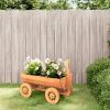 Decorative Wagon Natural Wood Solid fir wood Medium Portable