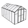 8 x 12 FT Polycarbonate Greenhouse with Vent Windows and Hinged Door