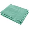 9.8 x 6.6 x 6.6 FT Plastic Greenhouse Replacement Cover