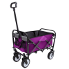 Minimeetall Collapsible Folding Wagon Cart with Strapping System