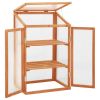 Firwood Mini Greenhouse 23.6" x 17.7" x 39.4" – Compact Outdoor Wooden Greenhouse