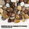 18 lbs River Rocks Pebbles 1.6-2.4 Inch Polished Decorative Stones Natural Pebbles for Plants, Aquarium Gravel, Vase Fillers