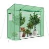Portable Walk In Greenhouse PE Cover Heavy Duty Metal Frame Zipper Door