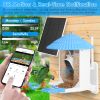 Solar Smart Bird Feeder with 2K Camera AI Bird ID Motion Detection Two Way Audio App Control