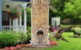 hummingbird Feeder Outdoors Hanging - Premium Grade Metal Tube weather and Water Resistant