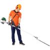 31CC 4-Cycle 4-in-1 Multi-Functional Garden Tool System Gas Pole Saw Trimmer t