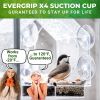 Nature Anywhere Clear Window Bird Feeder with Strong Suction Cups