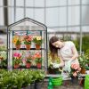 4-Tier Mini Greenhouse with Clear PVC Cover and Roll-Up Zipper Door, Removable Shelves,