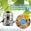 Squirrel Proof Caged Tube Bird Feeder Outdoor Metal Seed Guard Deterrent