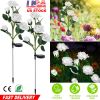 2 Pack Solar Rose Flower LED Garden Stake Lights