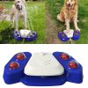 Paw Activated Canine Water Fountain Hose Dispenser for Dogs