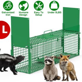 Live Animal Cage Trap For Animals Under Easy To Setup Humane Galvanized Iron Trap Cage For Raccoons Armadillos Groundhogs Muskrats Opossums Skunks (size: L_Green)
