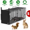 Live Animal Cage Trap For Animals Under Easy To Setup Humane Galvanized Iron Trap Cage For Raccoons Armadillos Groundhogs Muskrats Opossums Skunks