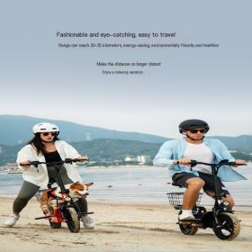 Family friendly cycling: T3 Hezzo electric bike suitable for families (HEZZO SPORT-T3-5: orange)