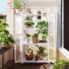 62 Inch Wooden Portable Greenhouse with Wheels and Shelves