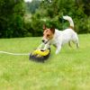 Automatic Pet Water Dispenser Outdoor Sprinkler for Drinking and Shower Fun
