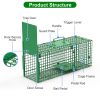 Live Animal Cage Trap For Animals Under Easy To Setup Humane Galvanized Iron Trap Cage For Raccoons Armadillos Groundhogs Muskrats Opossums Skunks