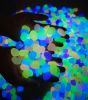 100Pcs Glow in The Dark Luminous Garden Stones Outdoor Pebbles