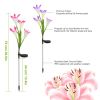 2 Pack Solar Lily Flower Garden Lights, 7-Color Changing LED Pathway Stake Lights, IP65 Waterproof for Garden, Patio, Yard, and Walkways.