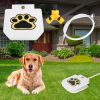 Outdoor Dog Pet Water Dispenser Step-on Activated Sprinkler
