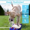 Automatic Pet Water Dispenser Outdoor Sprinkler for Drinking and Shower Fun