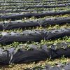 6.5 x 330 FT Weed Barrier Landscape Fabric