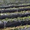 6.5 x 330 FT Weed Barrier Landscape Fabric