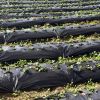 Garden Tools Weed Barrier Landscape Fabric